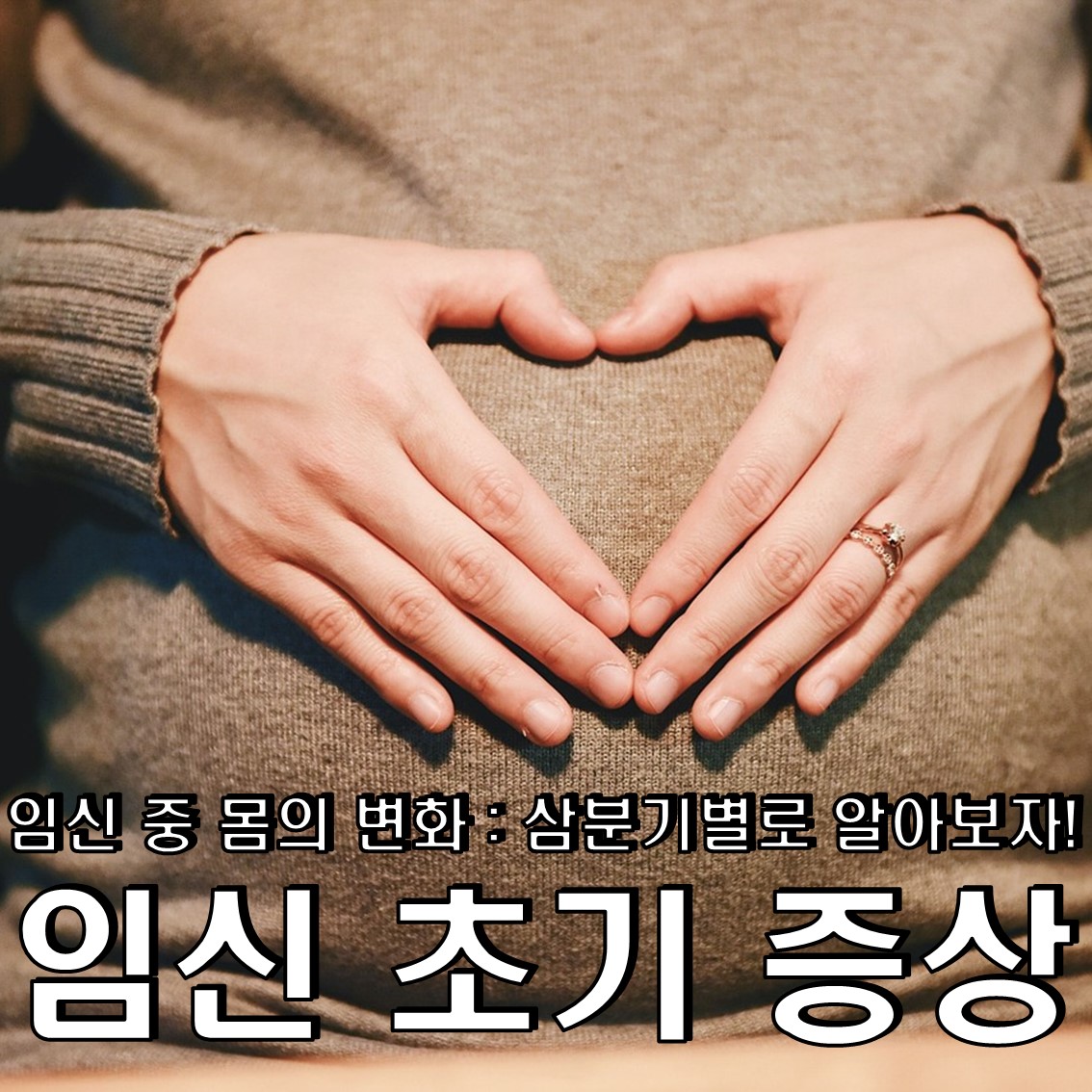 임신 초기 증상 & 임신 극초기 증상 & 임신 중 몸의 변화 : 삼분기별로 알아보자!